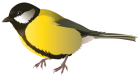 Yellow Bird PNG Clipart - High-quality PNG Clipart Image from ClipartPNG.com