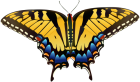 Yellow Butterfly PNG Clip Art - High-quality PNG Clipart Image from ClipartPNG.com