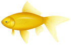 Yellow Fish PNG Clipart  - High-quality PNG Clipart Image from ClipartPNG.com
