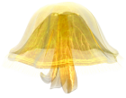 Yellow Jellyfish PNG Image  - High-quality PNG Clipart Image from ClipartPNG.com
