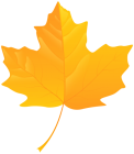 Yellow Leaf PNG Clip Art - High-quality PNG Clipart Image from ClipartPNG.com