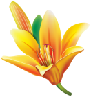 Yellow Lily Flower PNG Clipart  - High-quality PNG Clipart Image from ClipartPNG.com