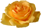 Yellow Rose PNG Clipart - High-quality PNG Clipart Image from ClipartPNG.com
