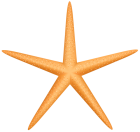 Yellow Starfish PNG Clip Art - High-quality PNG Clipart Image from ClipartPNG.com