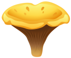 Yelow Chanterelle Mushroom PNG Clipart - High-quality PNG Clipart Image from ClipartPNG.com